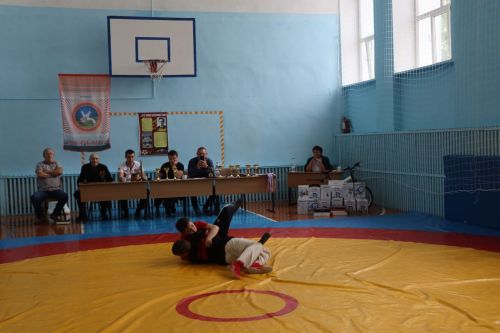 Уехала на велосипеде: Дрожжановский турнир по борьбе памяти Героя Советского Союза С.А Уганина состоялся