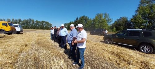 Хлеборобы общества «Цильна» завершили уборку зерновых и зернобобовых культур