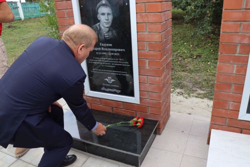 В селе Новое Ильмово Дрожжановского района открыли Аллею Славы