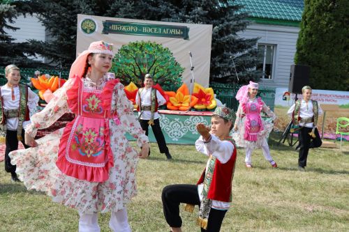 В Дрожжановском районе РТ назвали имена победителей конкурса «Мое генеалогическое древо или моя родословная»