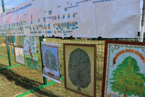 В Дрожжановском районе РТ назвали имена победителей конкурса «Мое генеалогическое древо или моя родословная»