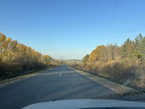 Погода в Дрожжановском районе