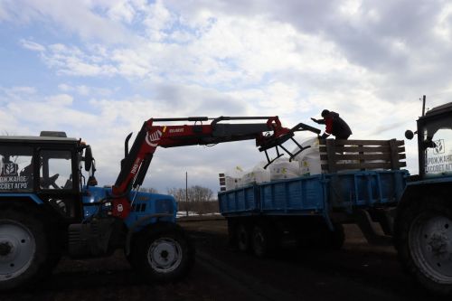 В Дрожжановском районе РТ  приступили к подкормке многолетних трав