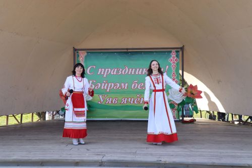 Жители Дрожжановского района РТ отметили Международный день семьи в парке «Чупрэле»