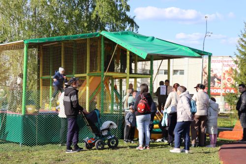 Жители Дрожжановского района РТ отметили Международный день семьи в парке «Чупрэле»