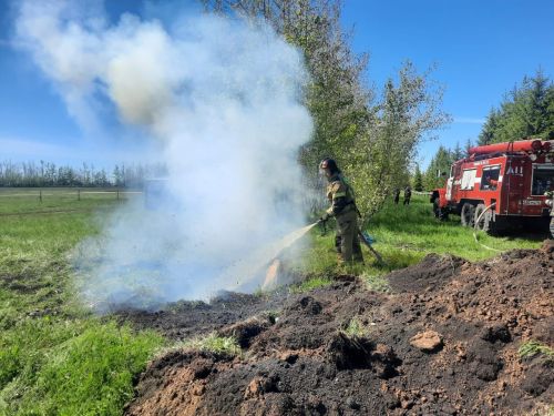 В Дрожжановском районе РТ провели учения по ликвидации очага африканской чумы свиней
