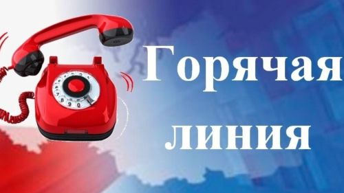 Ко Дню семьи, любви и верности в Татарстане будет работать телефонная «горячая линия»
