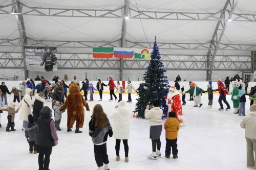 Старый новый год дрожжановцы отметили на ледовой арене