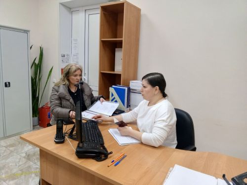 Пулăшусăр юлмăн
