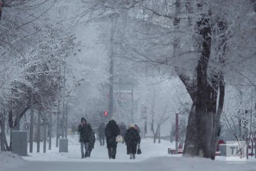 Погода в Дрожжановском районе