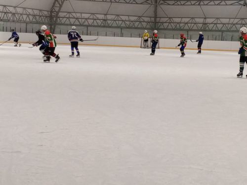 В Дрожжаном определены победители Чемпионата по хоккею среди организаций и учреждений