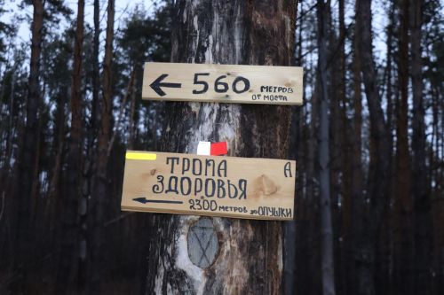Матаксем сывлӑхӗсене ҫирӗплетеҫҫӗ