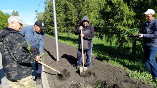 В Дрожжановском районе РТ началась посадка цветов