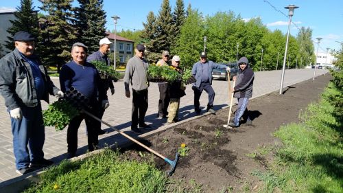 В Дрожжановском районе РТ началась посадка цветов