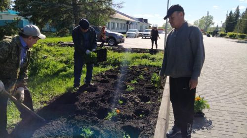 В Дрожжановском районе РТ началась посадка цветов