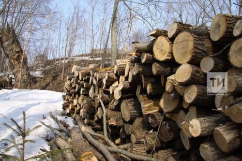 Какие дрова лучше выбрать для печи, бани и гриля