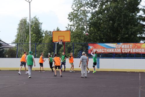 Торжественное открытие спортивных мероприятий ко Дню физкультурника прошло в Дрожжановском районе
