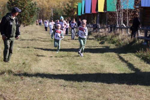В Дрожжановском районе РТ определили самых быстрых школьников в «Осеннем кроссе»