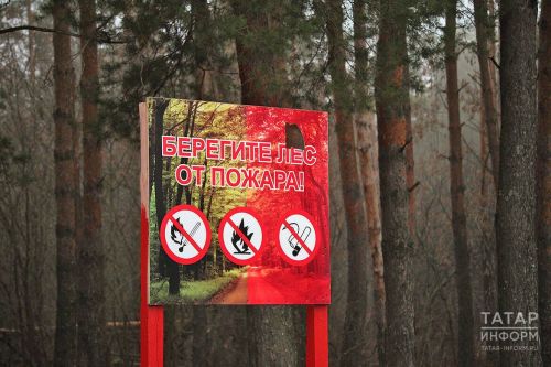 Штормовое предупреждение: в Татарстане объявлен высокий класс пожарной опасности