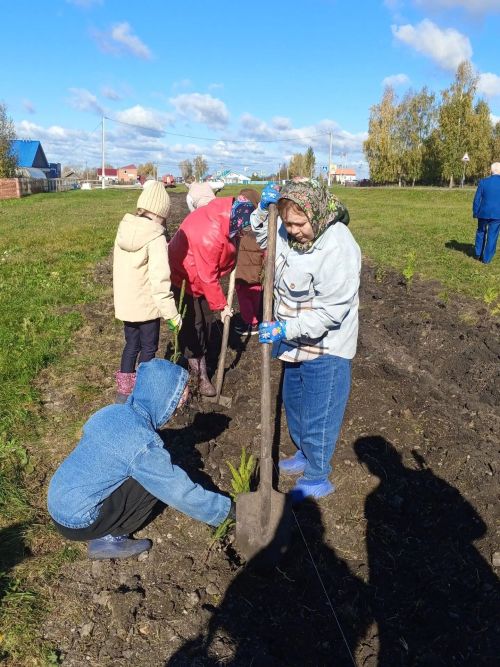 Жители Чувашской Бездны Дрожжанвоского района озеленили село