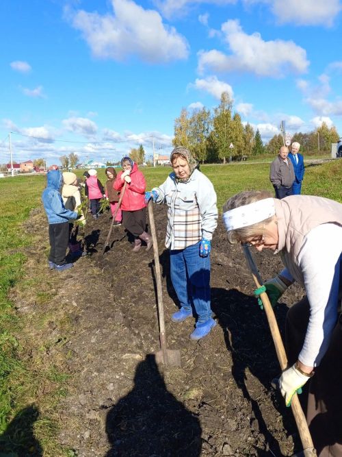 Жители Чувашской Бездны Дрожжанвоского района озеленили село