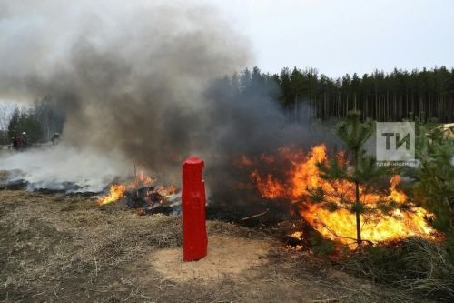 Пожароопасный сезон в лесах Татарстана начнется 15 апреля