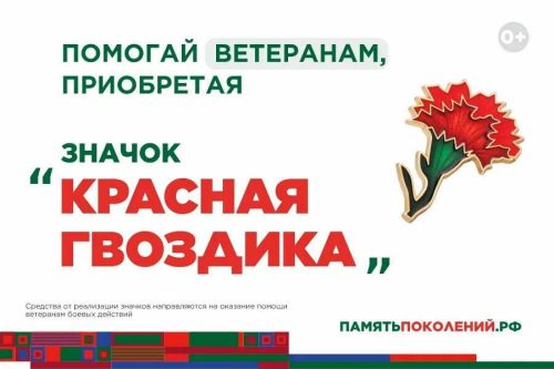 В Татарстане стартовала акция «Красная гвоздика» в помощь ветеранам