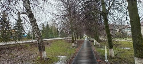 Сасӑлав пуҫланчӗ