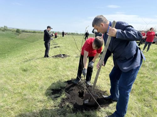 В Дрожжановском районе в рамках международной акции «Сад памяти» заложили липовую аллею