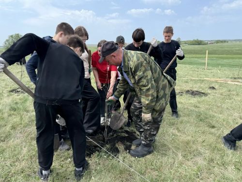 В Дрожжановском районе в рамках международной акции «Сад памяти» заложили липовую аллею