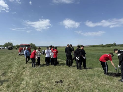 В Дрожжановском районе в рамках международной акции «Сад памяти» заложили липовую аллею