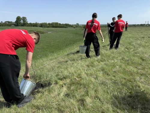 В Дрожжановском районе в рамках международной акции «Сад памяти» заложили липовую аллею