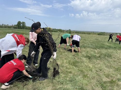 В Дрожжановском районе в рамках международной акции «Сад памяти» заложили липовую аллею