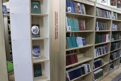 Четыре модельные библиотеки откроют в Татарстане в 2026 году