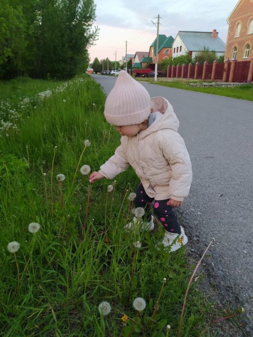 Кукша пуç мухтава тивĕç