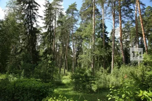 Смертельная опасность в кустах: жительница Татарстана выжила после молниеносной реакции на укус гадюки