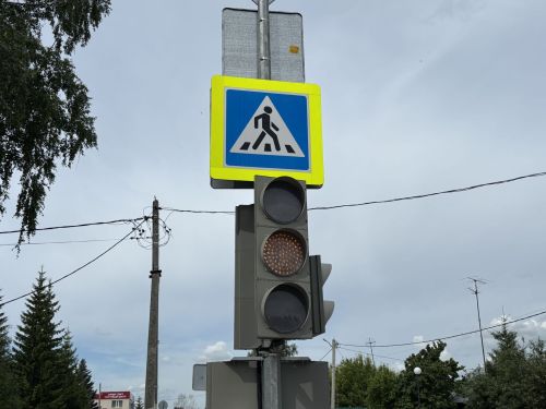 В Татарстане стартует профилактическая акция «Внимание, пешеход!»