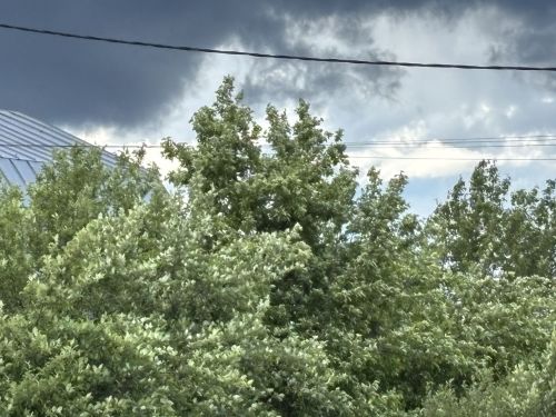 Почему в Татарстане так холодно и дождливо? Объясняют метеорологи