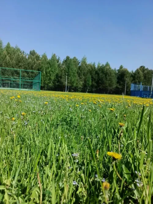 Погода в Дрожжановском районе на 7 июня