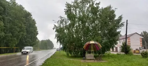 Переждите непогоду: 15 июля в Дрожжановском районе бушуют грозы, ливни и шквалистый ветер