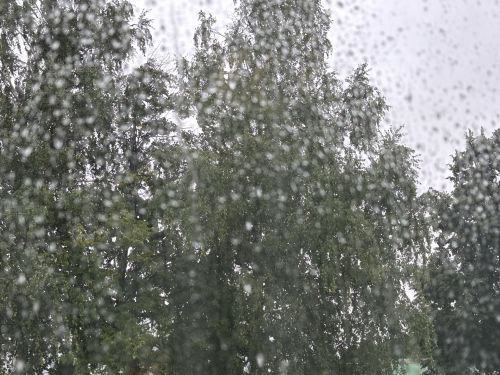 Синоптики предупредили о сильных дождях, ливнях, грозах и шквалистом ветре в Татарстане