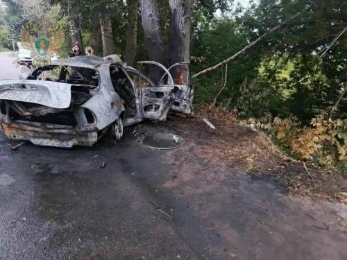 В Зеленодольском районе  автомобиль с подростками влетел в дерево: шесть человек погибли