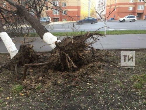 В Татарстане ураганный ветер сорвал крыши с семи объектов и оставил без света более тысячи человек