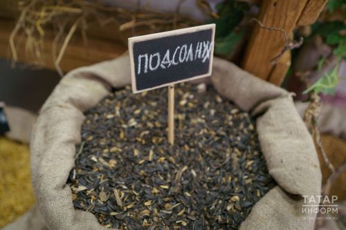 Врач объяснил, чем опасно регулярное проглатывание шелухи от семечек