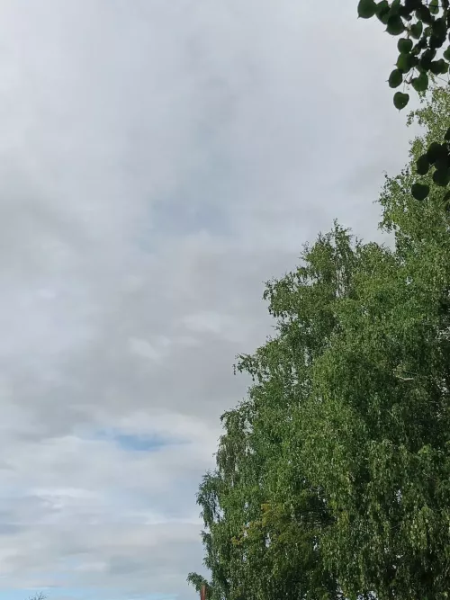 В Дрожжановском районе ожидаются дождь, гроза и ветер