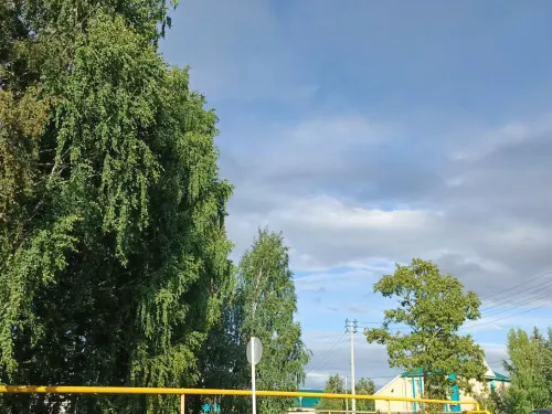 Прогноз погоды на сегодня: в Дрожжановском районе без осадков