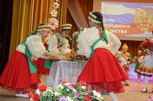 Концерт ко Дню народного единства в Дрожжаном-2023
