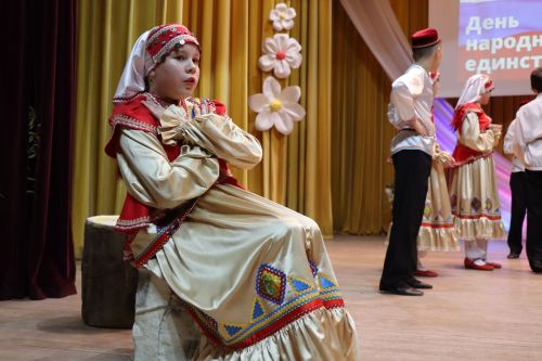 Концерт ко Дню народного единства в Дрожжаном-2023