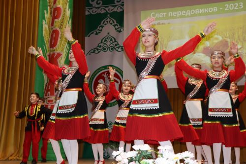 Слет передовиков сельского хозяйства в Дрожжановском районе -2023