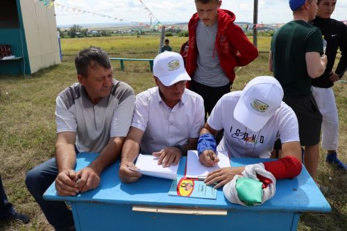 В селе Нижнее Чекурское Дрожжановского района праздновали "День родного края"